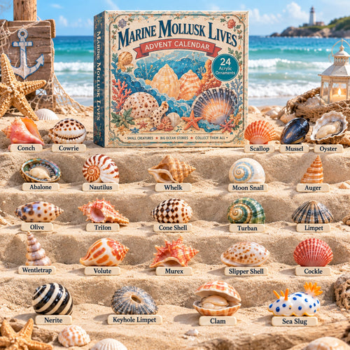 Marine Mollusk Lives Advent Calendar 2026 - 24-Day Festive Countdown, Acrylic Charms Blind Box